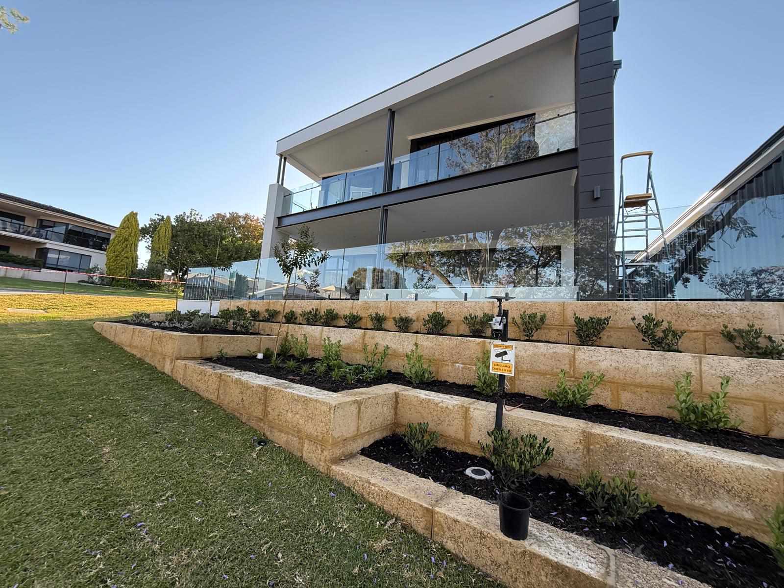 Large Tree Planting services — Tree Planting CO