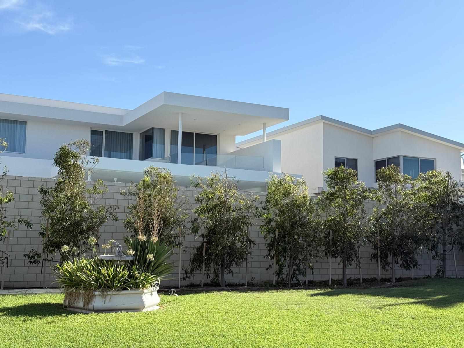 Tree Maintenance services — Tree Planting CO