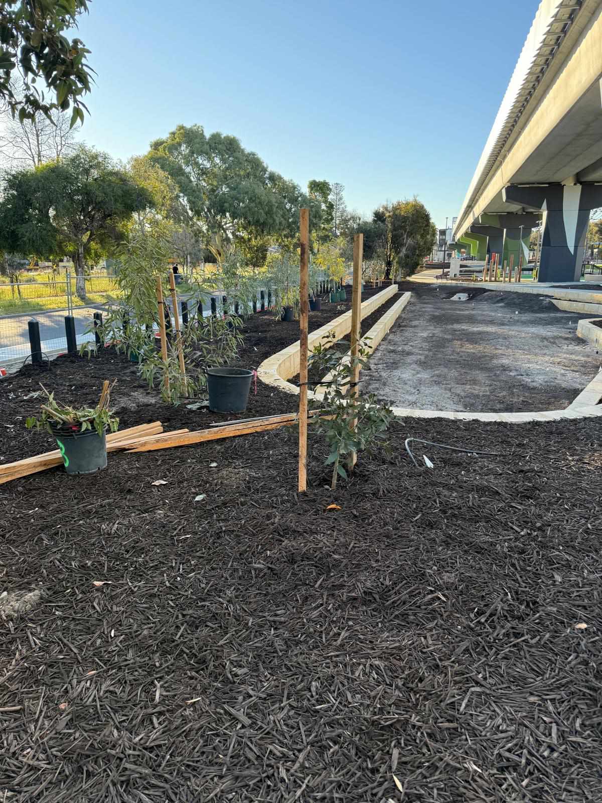 Tree planting project