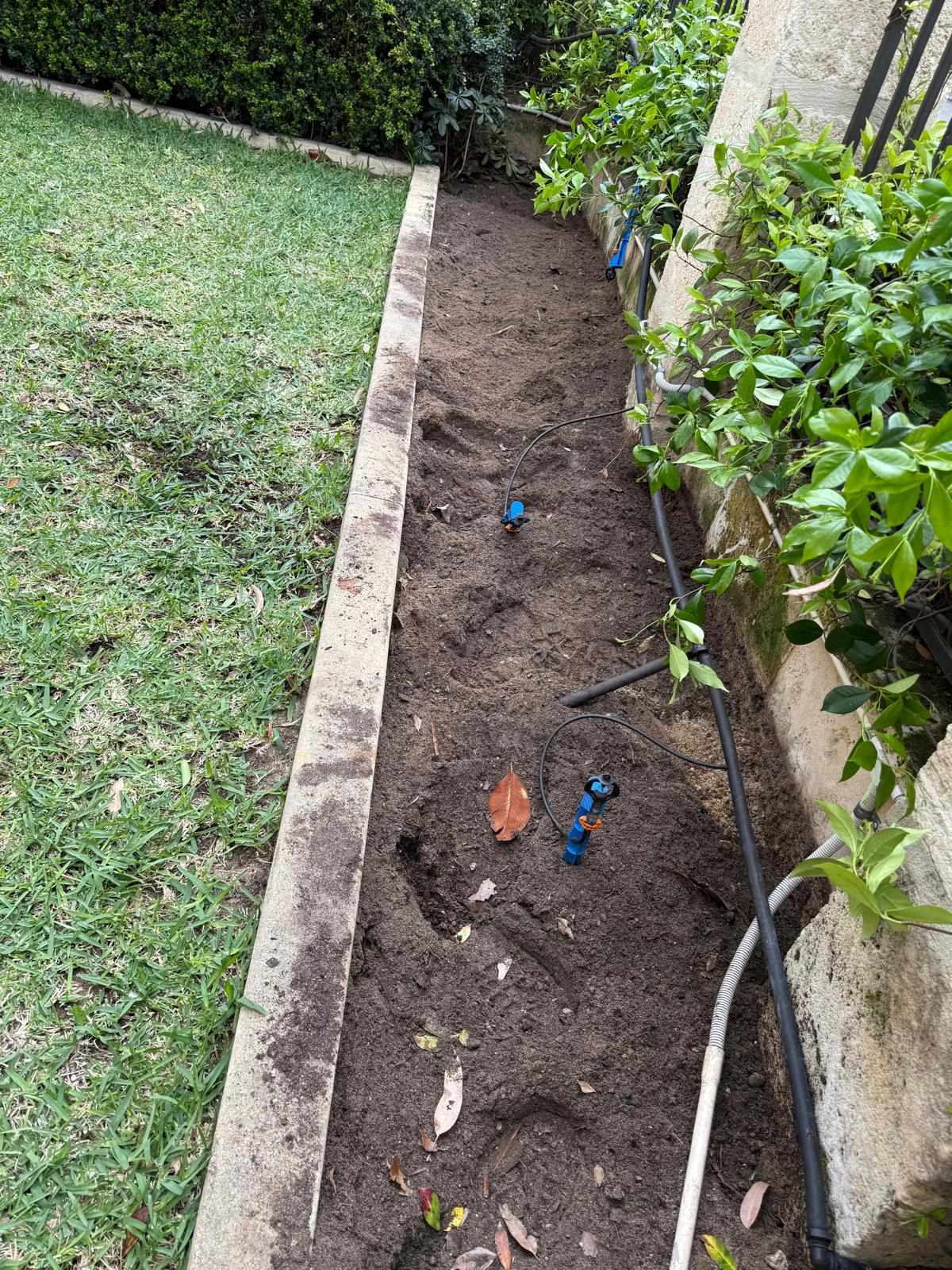 Tree planting project