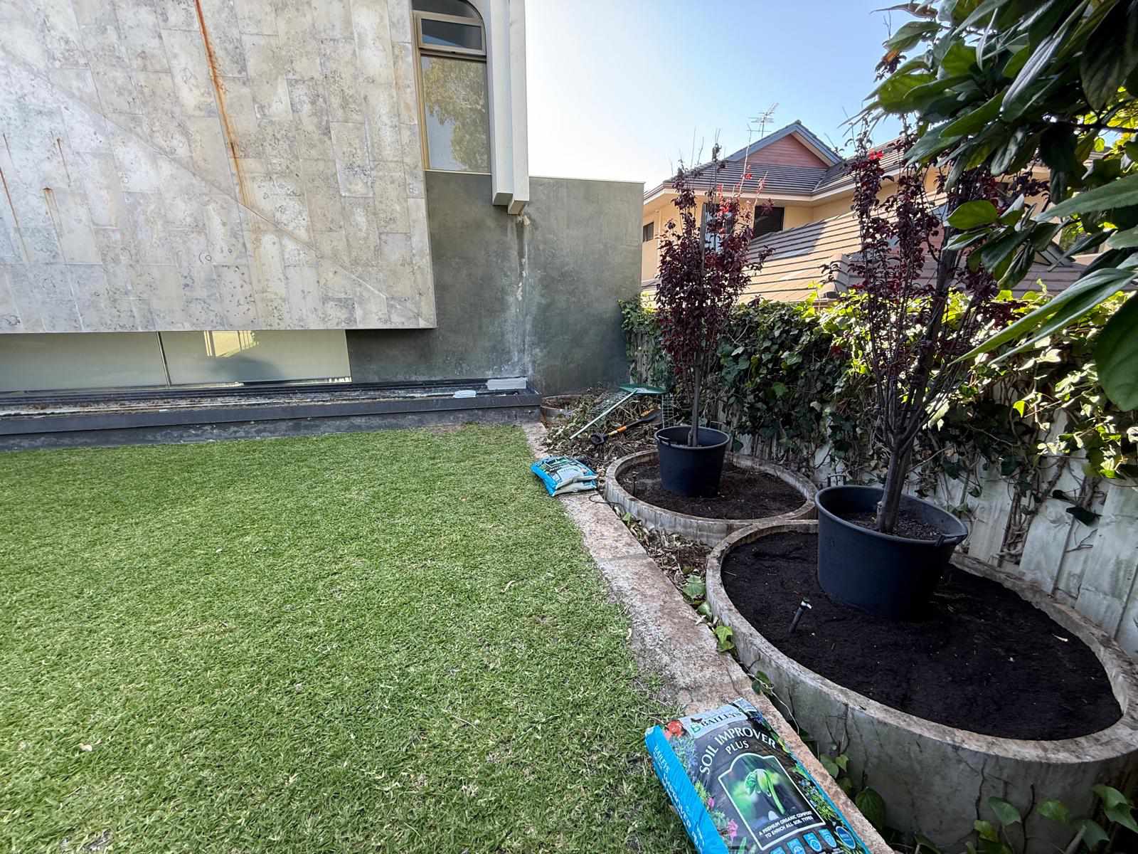 Tree planting project