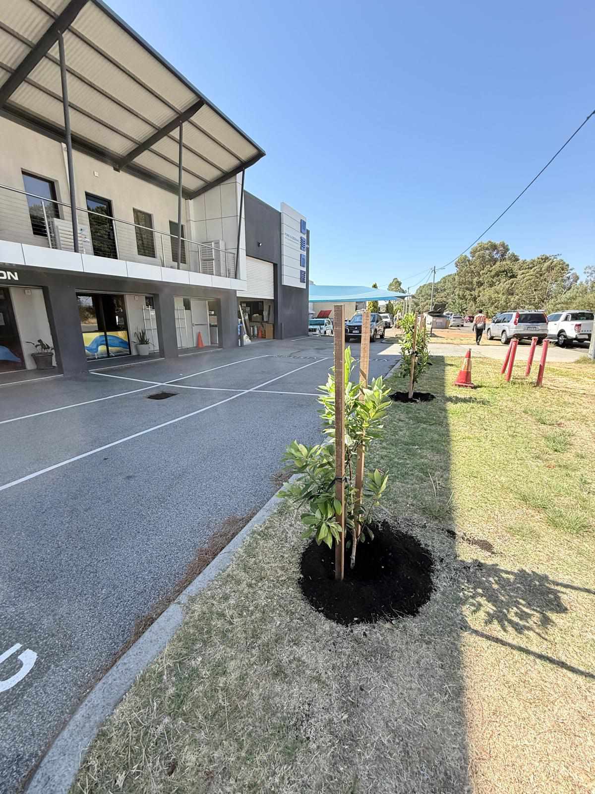 Tree planting project