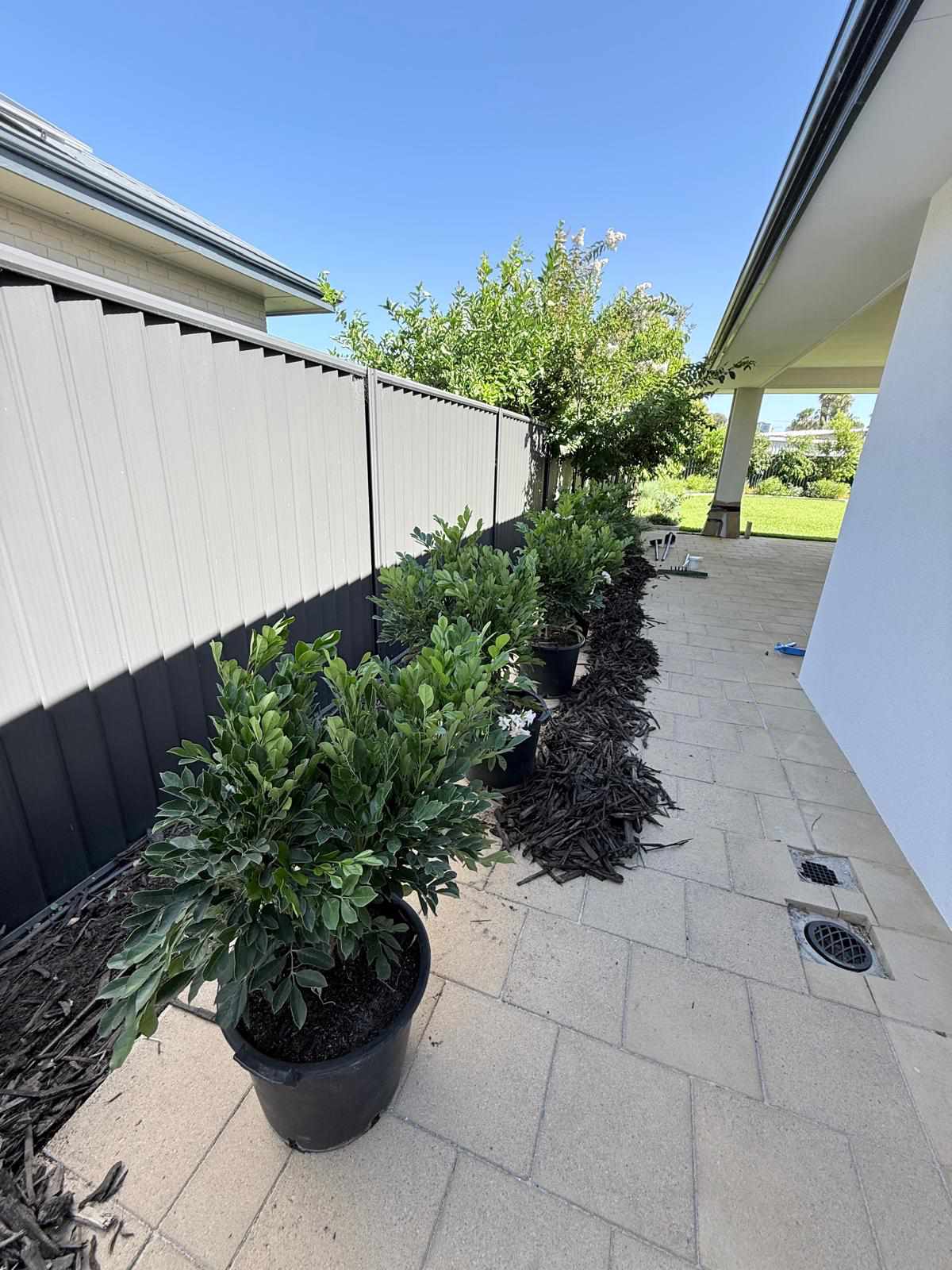 Tree planting project