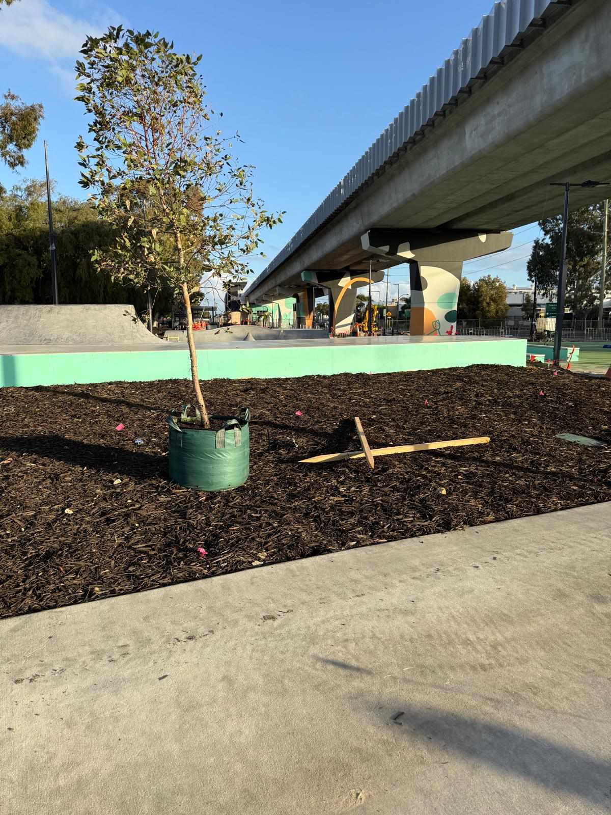 Tree planting project
