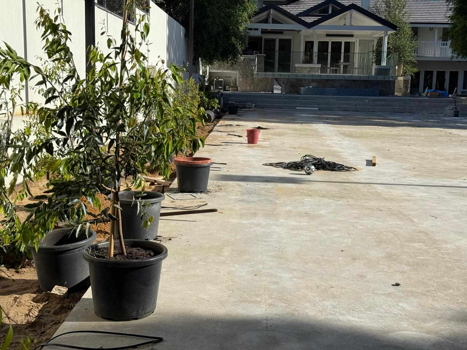 Manual Tree Planting services — Tree Planting CO