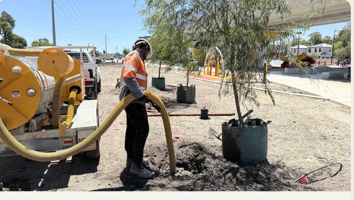 Machine Tree Planting services — Tree Planting CO